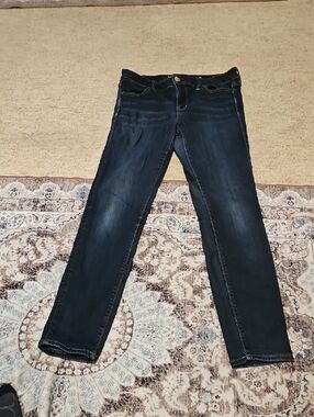 American Eagle Outfitters Navy Wash Skinny Jeans